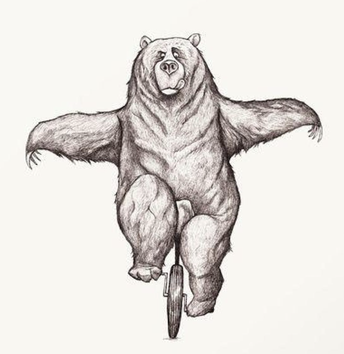 Bear on a unicycle